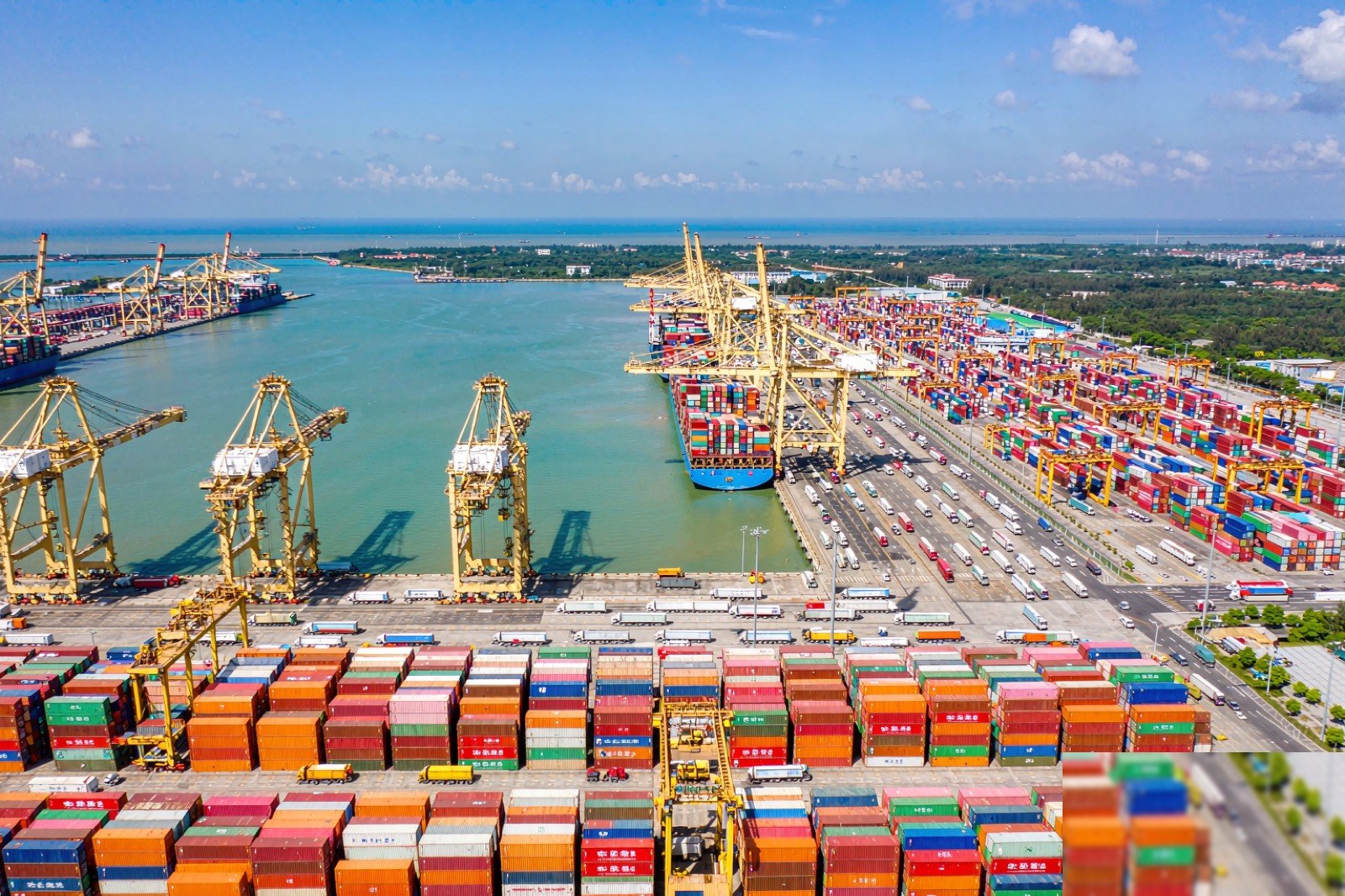 Starchain exports to 50+ countries